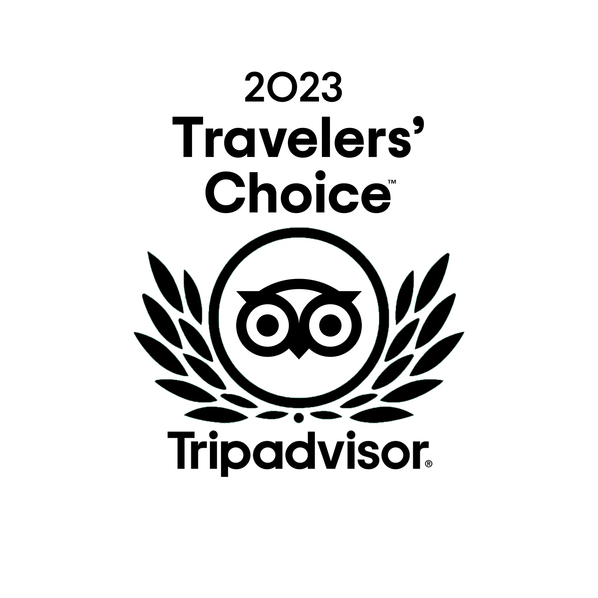 Logo Graphic of 2023 Traveler's Choice Award