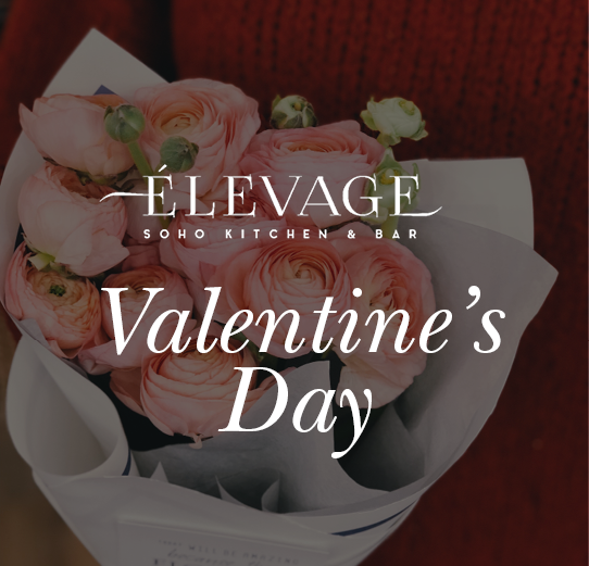 Valentine's Day Graphic